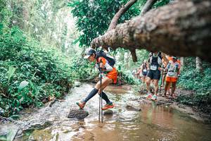 BIB: 
                            <button type="button" onclick="openModal(25372466)" class="btn btn-primary btn-sm float-right btn-popup" data-toggle="modal" data-target=".modal-high-quality">
                        <i class="fas fa-shopping-cart"></i> Add to Cart
                    </button>
                                            <button type="button" onclick="isThisMe(25372466, true)" class="btn btn-success btn-sm float-right btn-popup btn-isme hidden" data-toggle="tooltip" data-placement="bottom" title="นี่คือรูปของคุณใช่ไหม คลิกที่นี่เพื่อเอาเข้าอัลบั้ม">
                        <i class="fas fa-plus"></i> Add to album
                    </button>
                    <button type="button" onclick="isThisMe(25372466, false)" class="btn btn-warning btn-sm float-right btn-popup btn-isnotme hidden">
                        <i class="fas fa-ban"></i> Remove from album
                    </button>